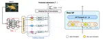 From Deep Additive Kernel Learning to Last-Layer Bayesian Neural Networks via Induced Prior Approximation